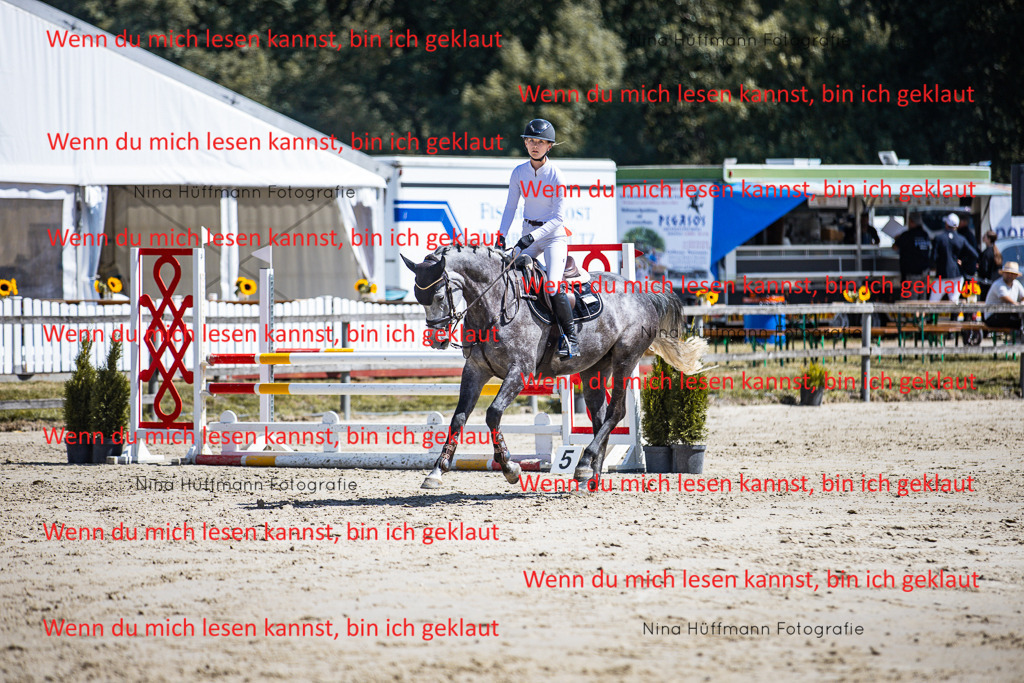 BK1A5265 | Turnierbilder Turnierfotos Nina Hüffmann Turnierfotografie Pferdefotografie Tierzeichnung Haustierzeichnung Pferdezeichnung Hundezeichnung Videograf  - Realisiert mit Pictrs.com