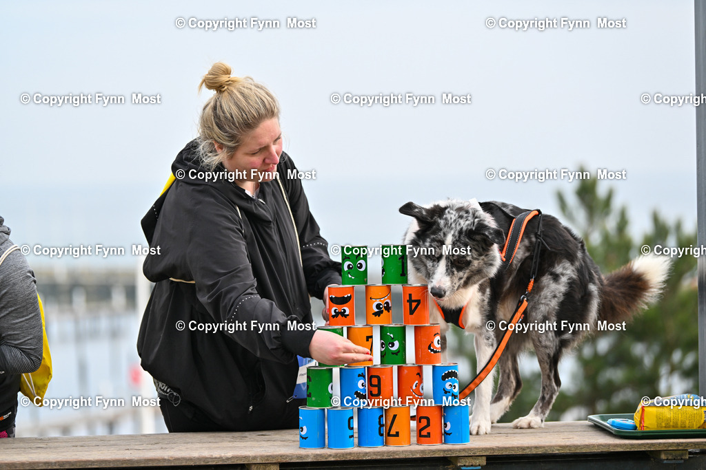 DSC_4410 | Hallo und herzlich Willkommen auf meiner Shop-Seite Fynn Most.

Ich wünsche Dir viel Spaß beim stöbern durch die Bilder, wenn Du Fragen hast oder Bilder vermisst, kannst du mir gerne eine Nachricht schreiben. - Realisiert mit Pictrs.com