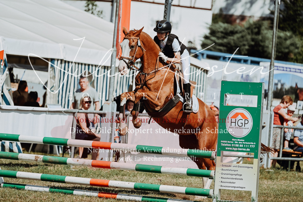 DSC_9527 | Pferde- und Turnierfotografie in Westsachsen. Pferdeportraits, Auftragszeichnungen und intuitive Kunst.