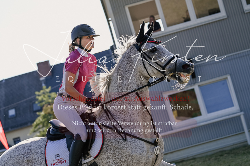 DSC_3019 | Pferde- und Turnierfotografie in Westsachsen. Pferdeportraits, Auftragszeichnungen und intuitive Kunst.