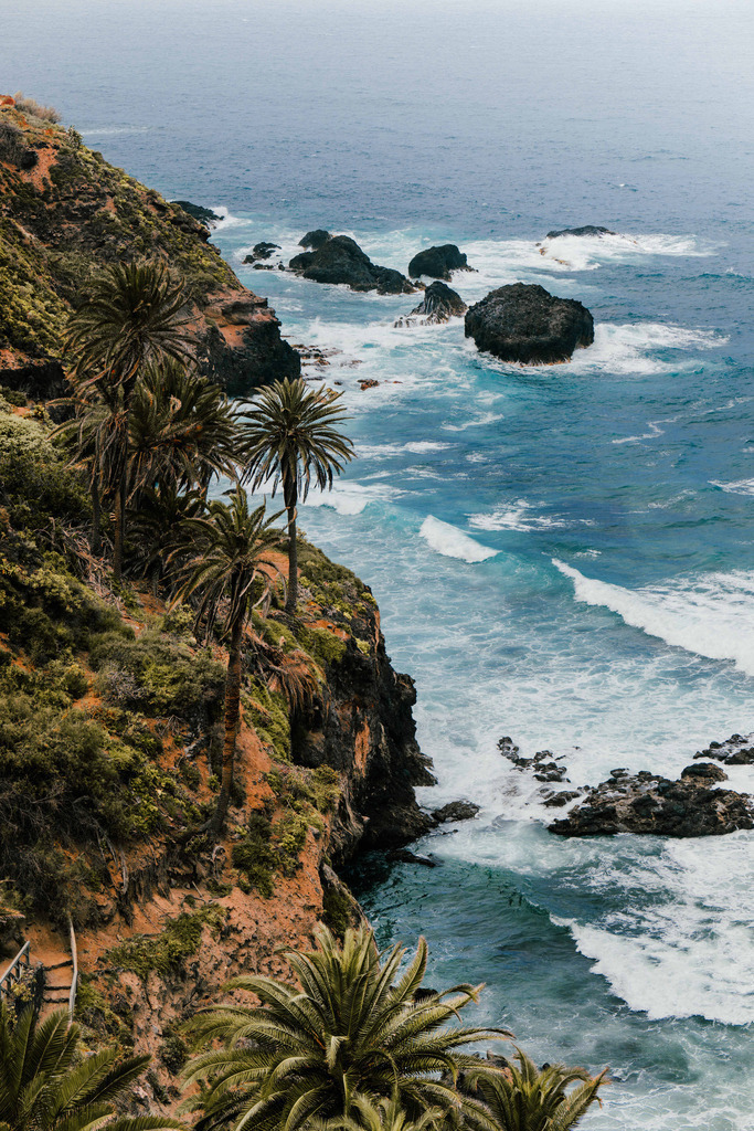 Teneriffa_by Leevke Draack_46 | Du suchst natürliche und atmosphärische Prints oder Leinwanddrucke? In diesem Shop gibt es alles, nur kein Mainstream. - Realisiert mit Pictrs.com