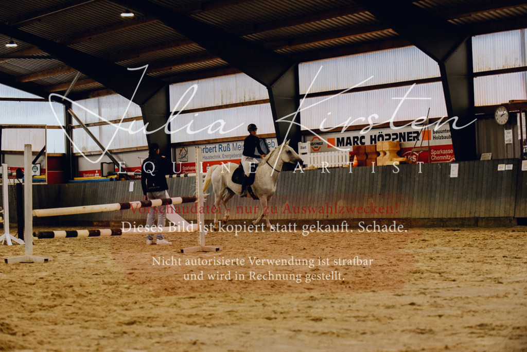 DSC_6977 | Pferde- und Turnierfotografie in Westsachsen. Pferdeportraits, Auftragszeichnungen und intuitive Kunst.