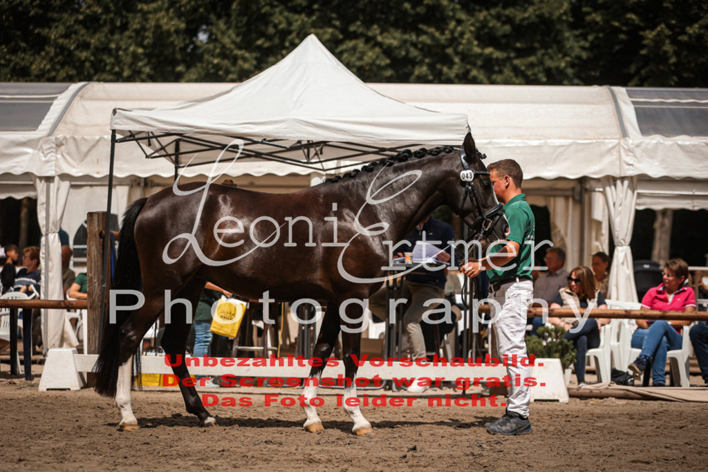 8.So00116 | Leoni Ertmer Photography - Realisiert mit Pictrs.com