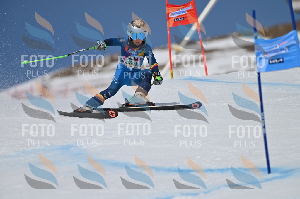 BGV_6609 | holidayphoto