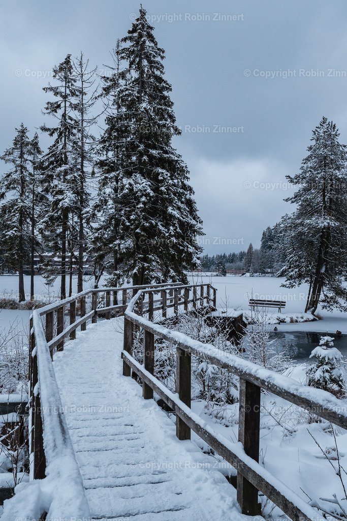 Fichtelsee_Winter00019 | Robin Zinnert - Realisiert mit Pictrs.com