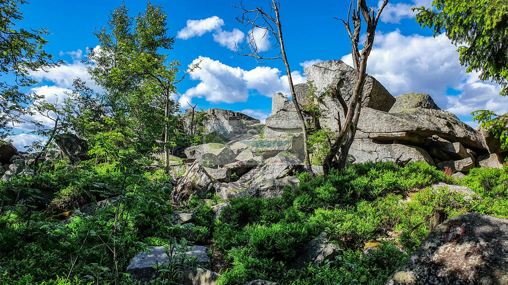 Platte Frühling | Impressionen rund um Hochfranken - Frankenwald - Fichtelgebirge - Realisiert mit Pictrs.com
