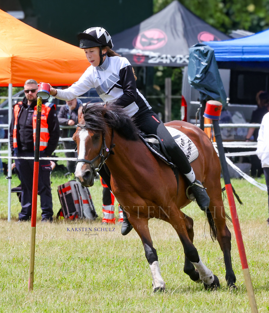 1B3A1221 | Reitsport Reiten