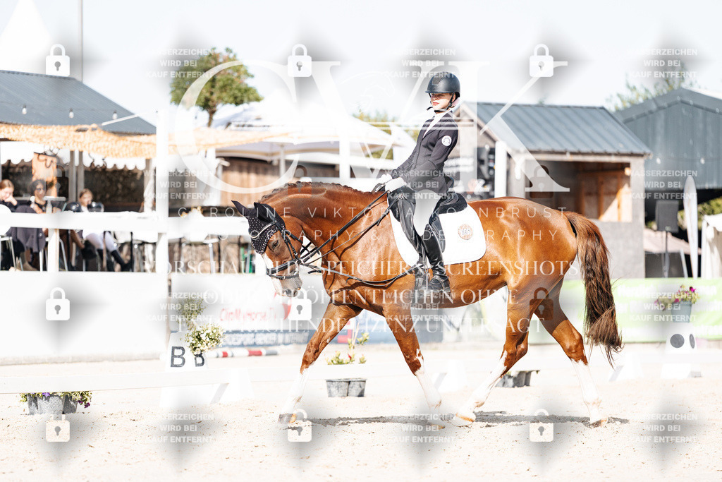 CK905641 | Turnierfotografie Pferdefotografie Trier Rheinland-Pfalz Pferdesport Reitsport Tierfotografie Sportfotografie Pferdevideo Pferdevideografie Equestrianvideography equestrianphotography  - Realisiert mit Pictrs.com