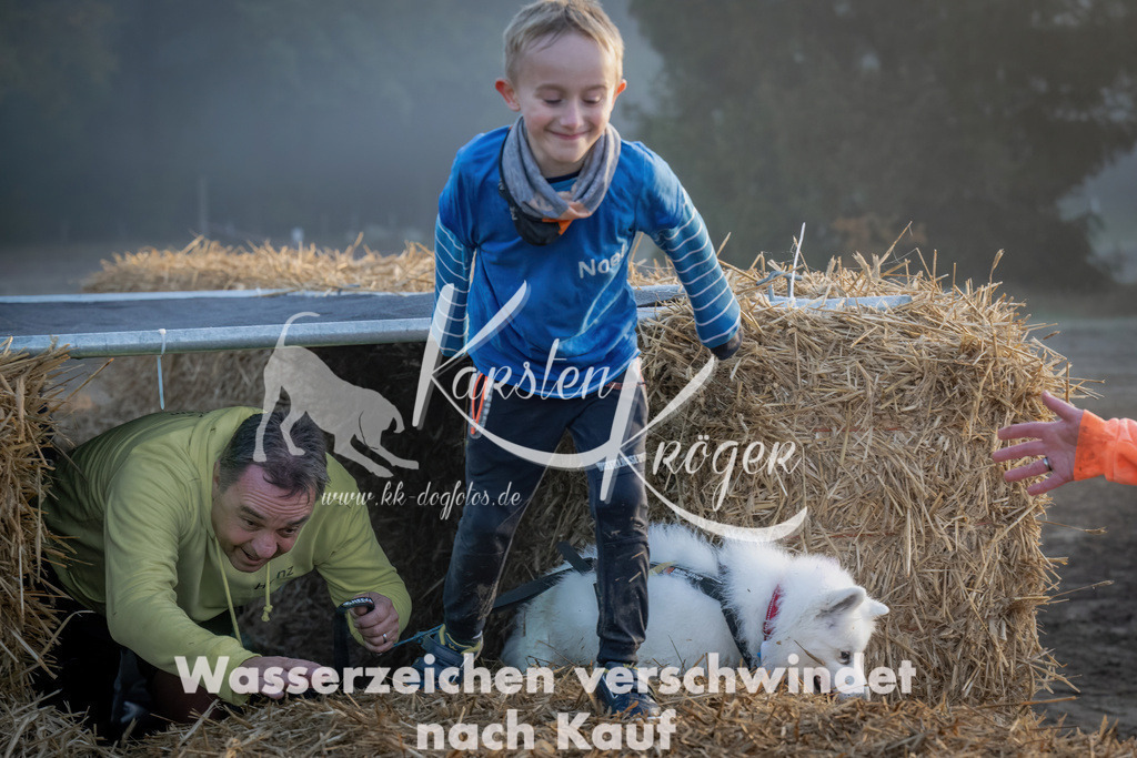 0850_ZZ99285 | kk-dogfotos