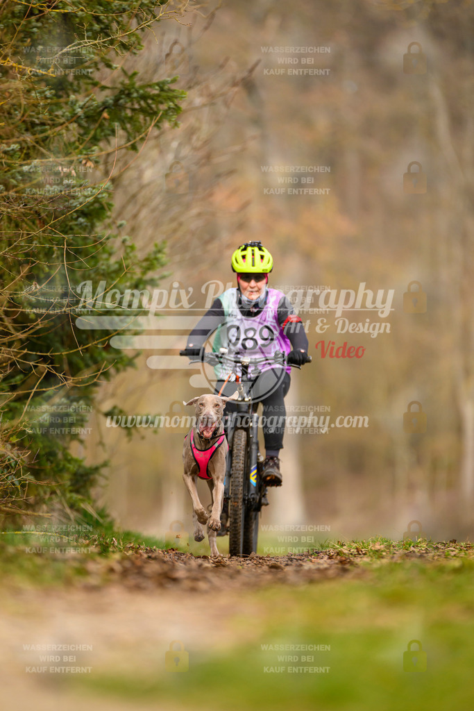 MompixPhotography_Schwabentrail2024_Bike-69 | PayLife
