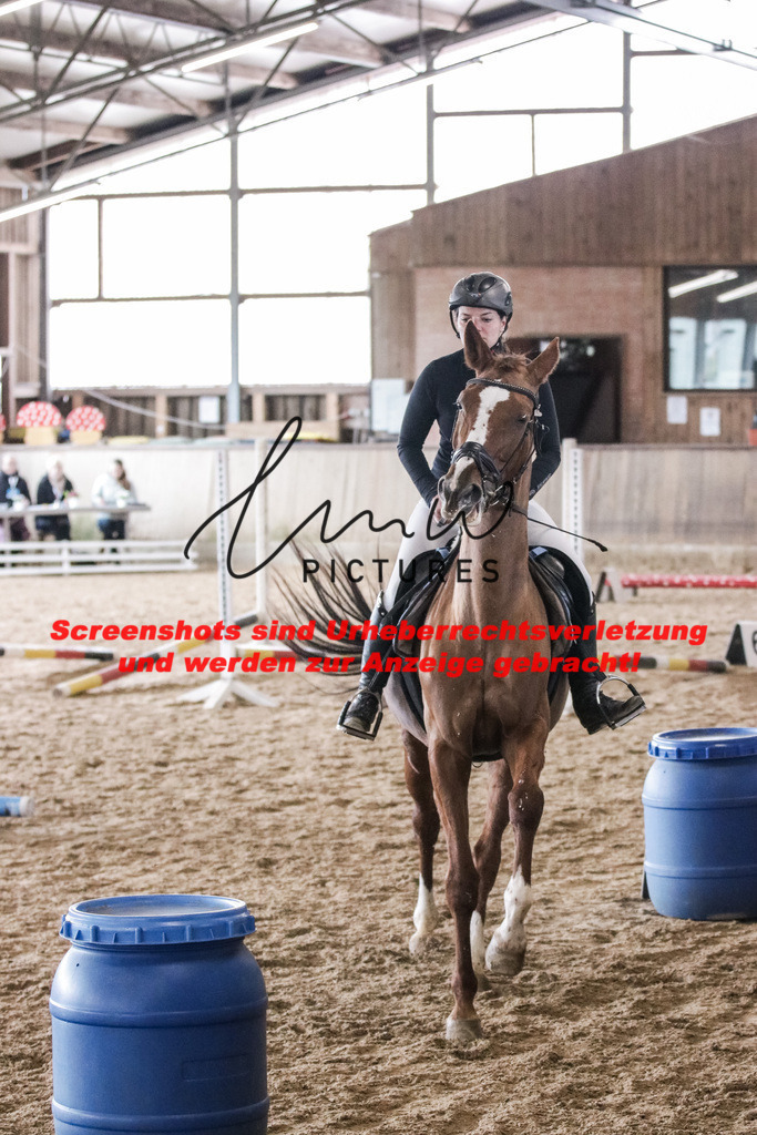 IMG_2008 | lmwpictures - Realisiert mit Pictrs.com