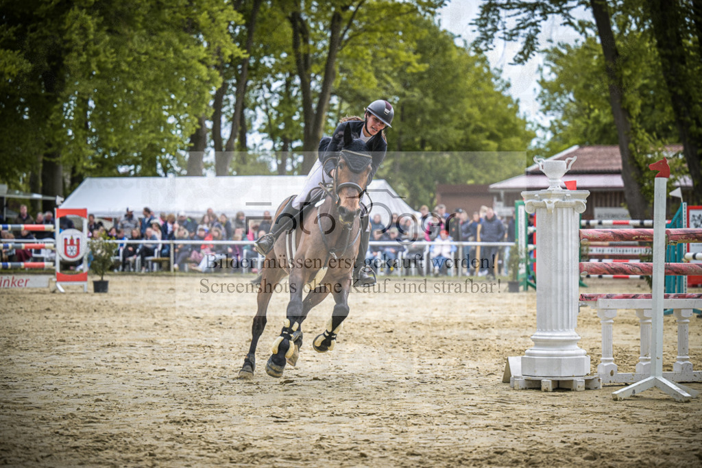 DOS_2071 | Entdecke hochwertige Reitturnierfotos von Foto Oger. Professionell, emotional und authentisch – jetzt Lieblingsmomente im Shop bestellen.Deutschlandweite Turnierfotografie. - Realisiert mit Pictrs.com