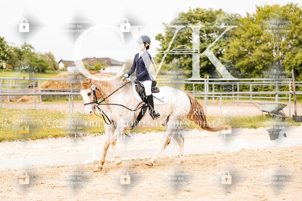 CK904379 | Turnierfotografie Pferdefotografie Trier Rheinland-Pfalz Pferdesport Reitsport Tierfotografie Sportfotografie Pferdevideo Pferdevideografie Equestrianvideography equestrianphotography  - Realisiert mit Pictrs.com