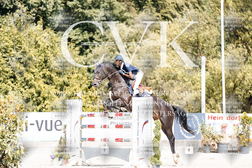 CK904768 | Turnierfotografie Pferdefotografie Trier Rheinland-Pfalz Pferdesport Reitsport Tierfotografie Sportfotografie Pferdevideo Pferdevideografie Equestrianvideography equestrianphotography  - Realisiert mit Pictrs.com