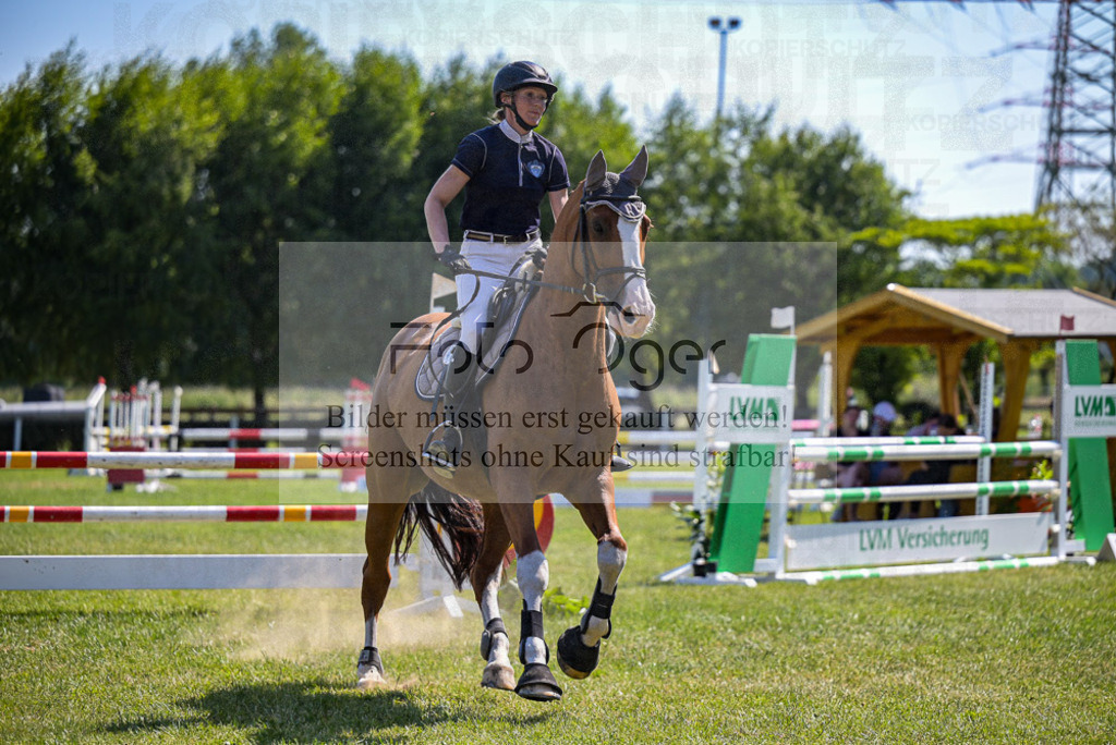 Reitturnier Voxtrup | Entdecke hochwertige Reitturnierfotos von Foto Oger. Professionell, emotional und authentisch – jetzt Lieblingsmomente im Shop bestellen.Deutschlandweite Turnierfotografie. - Realisiert mit Pictrs.com