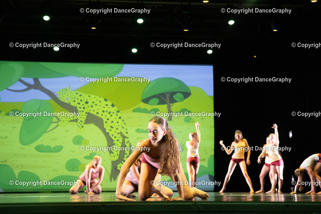 GPHY6331 | DanceGraphy - Realisiert mit Pictrs.com