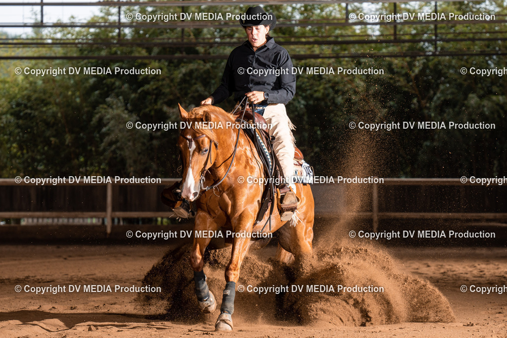 Erbach Tag 2-940 | dv-media-shop - Realisiert mit Pictrs.com