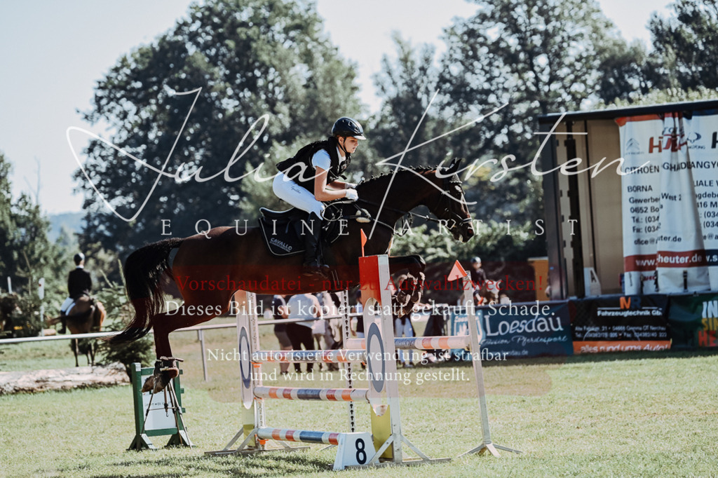 DSC_5498 | Pferde- und Turnierfotografie in Westsachsen. Pferdeportraits, Auftragszeichnungen und intuitive Kunst.