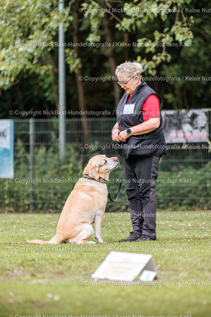 RO-Blumenthal-2026-Nickbest-Hundefotografie-0727 | Dein Hund! Dein Moment! Deine Erinnerungen! Hundefotografie in Bremen Blumenthal. Ich fange die besonderen Momente deines Vierbeiners ein – ob Indoor mit Blitzanlage oder in der freien Natur. Sicher dir dein Moment und dein Termin für eure Erinnerungen.