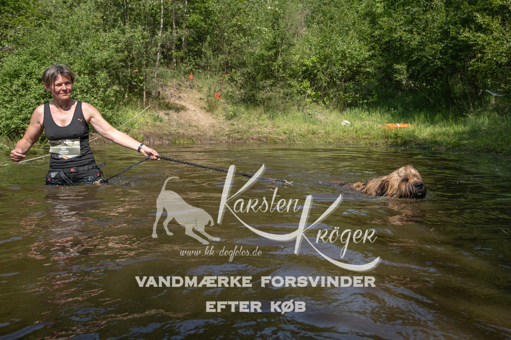 1050DKK991556 | kk-dogfotos