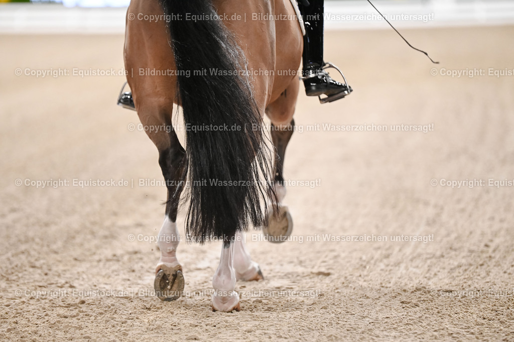 20251112_Dressur_iWest_TOMSPIC_00670067 | Foto: Thomas Hartig