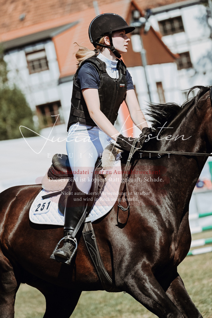 DSC_9712 | Pferde- und Turnierfotografie in Westsachsen. Pferdeportraits, Auftragszeichnungen und intuitive Kunst.