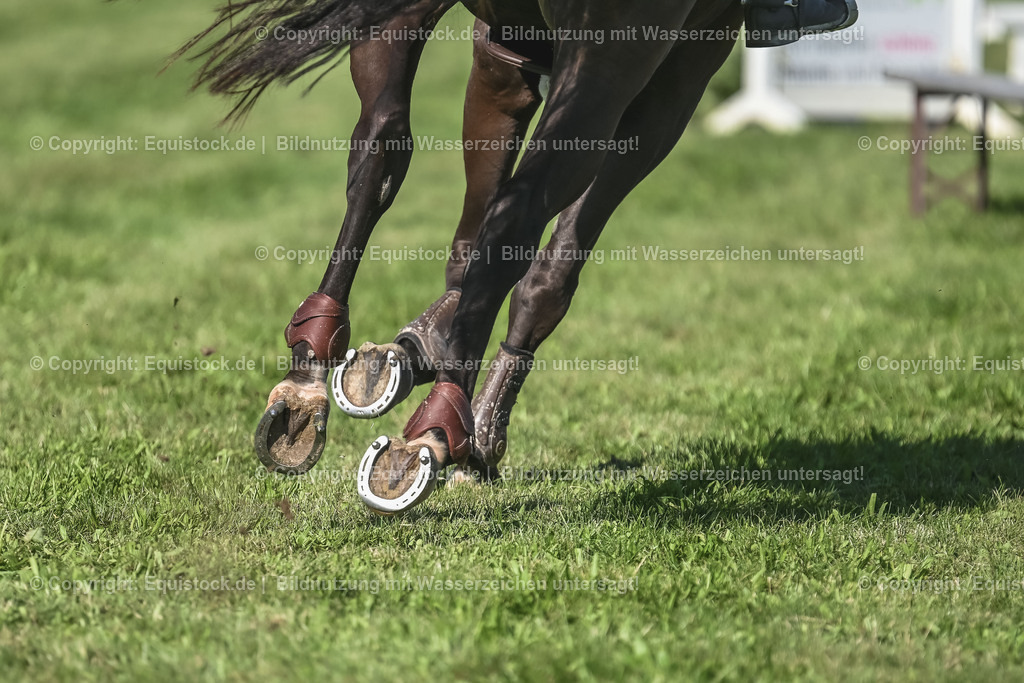 20230908_24_Springen_M_0047 | equistock