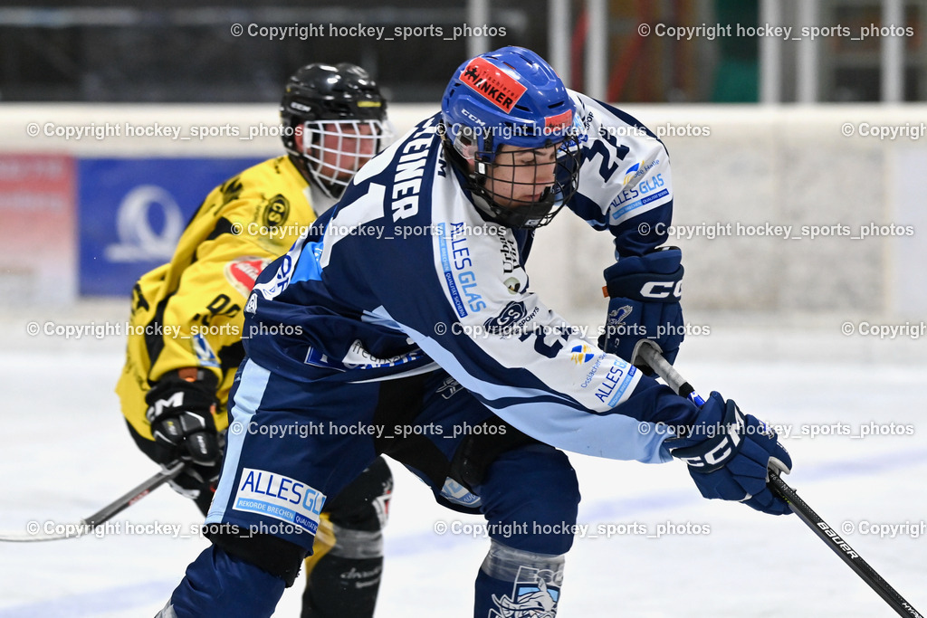 EC Spittal Hornets vs. ESC Steindorf 10.2.2024 | #21 Steiner Moritz