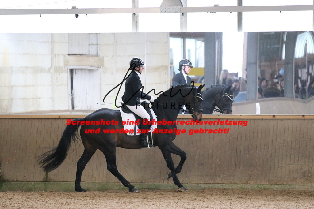 IMG_8002 | lmwpictures - Realisiert mit Pictrs.com