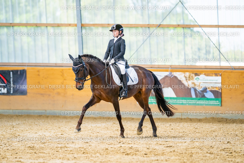 DSC07286 | Pferdegrafie