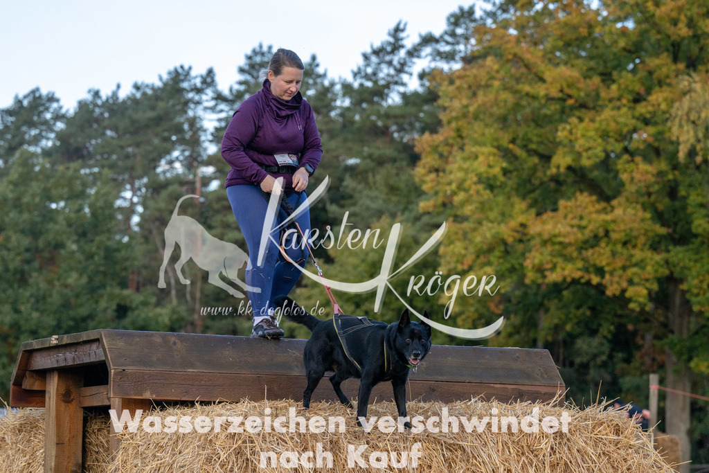 0849_ZZ91548 | kk-dogfotos