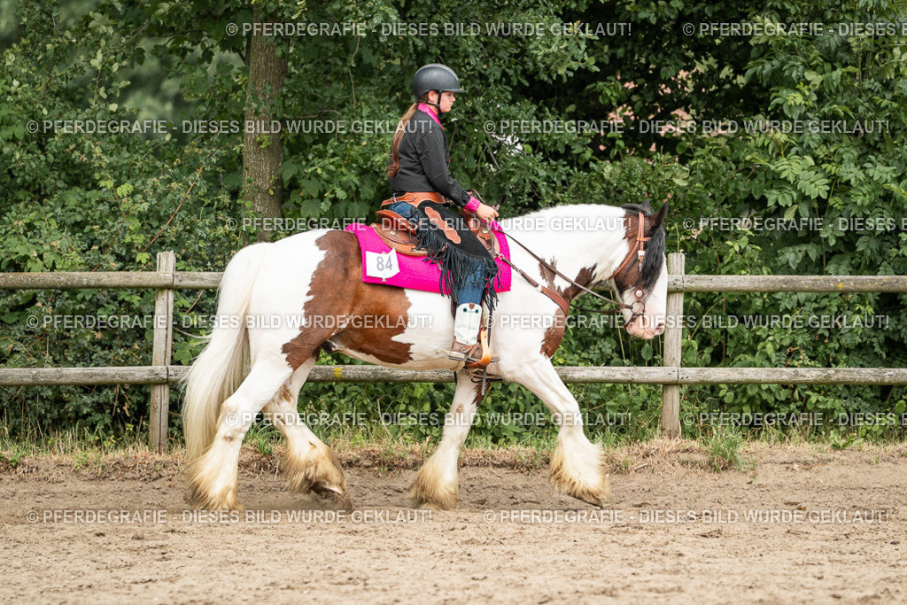 DSC03988 | Pferdegrafie