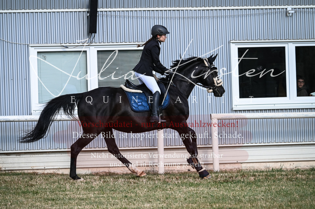 DSC_7890 | Pferde- und Turnierfotografie in Westsachsen. Pferdeportraits, Auftragszeichnungen und intuitive Kunst.