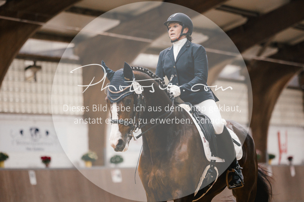 3I6A8643 | Stimmungsvolle Portraits und Reitsportfotografie im Ruhrgebiet und im Münsterland.

Pferdefotografie, Hundefotografie, Tierfotografie, Reportagen, Portraits von Tier und Mensch, Turnierfotografie in Bochum, Recklinghausen, Marl, Haltern am See, Dülmen.. - Realisiert mit Pictrs.com