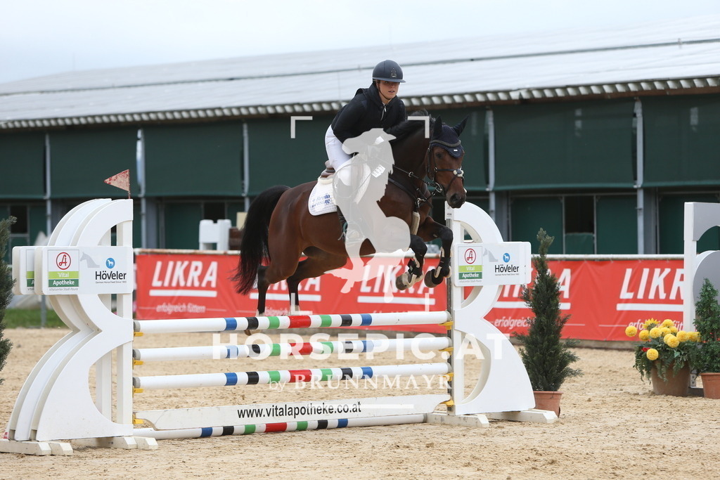 DL2Q0751 | Willkommen bei Brunnmayr - Design & Fotografie – Ihrem Spezialisten für Reitturniere und Pferdeveranstaltungen in Oberösterreich, Salzburg und Bayern! Seit über 17 Jahren sind wir leidenschaftlich dabei.