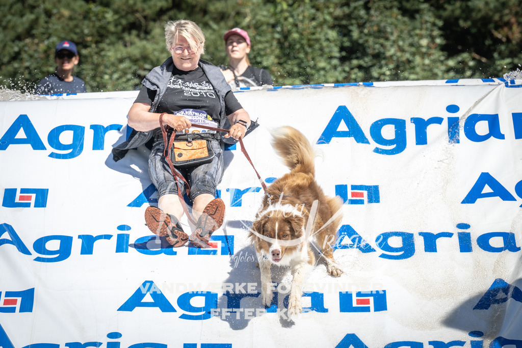 1313_ZZ99164 | kk-dogfotos