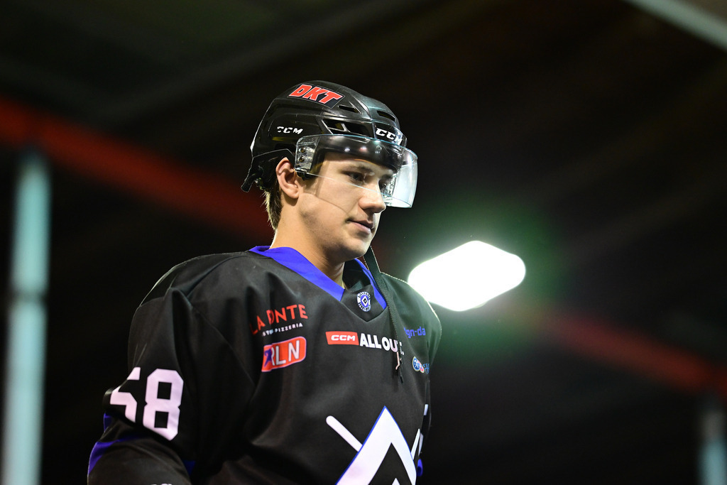 Eishockey I Herren I Saison 2023-2024 I Regionalliga Nord I Hamburger SV - TuS Harsefeld Tigers | Der Sportfotograf. - Realisiert mit Pictrs.com