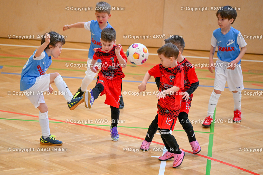 ASVÖ_ Fussball Nachwuchs Hallenturnier 2026_ SV Gallneukirchen_ 28.02.2026-63 | 28.02.2026, Gallneukirchen, AUT, ASVÖ, Fussball Nachwuchs Hallenturnier 2026, SV Gallneukirchen im Bild Teilnehmer U7©Harald Dostal / fodo.media - Realisiert mit Pictrs.com