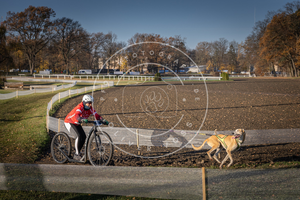 CaniXpix_DV3A1926 | Hundefotografie, Tierfotograf, Pfotenfotografie, Fotoshooting Hund, Hunde Portrait, Hundesport, Hundeportraits, Heideshooting, Hunde, Sportfotograf, Hundefotograf, Turnierhundsport, THS,  - Realisiert mit Pictrs.com