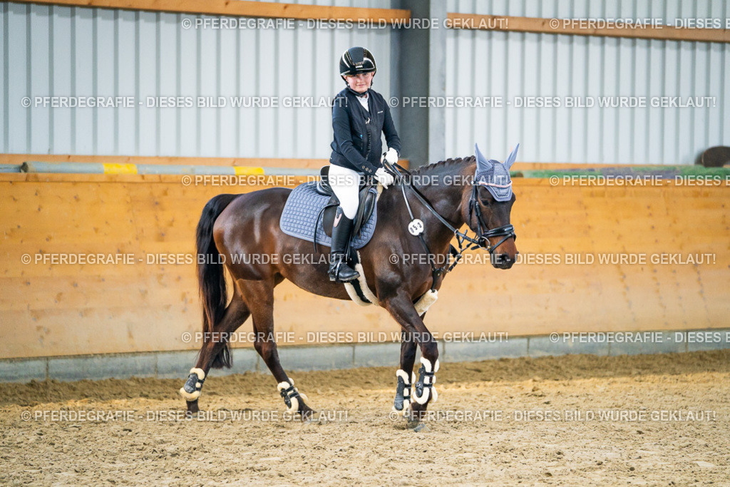 DSC00917 | Pferdegrafie