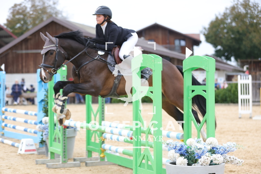 0P6A2315 | Willkommen bei Brunnmayr - Design & Fotografie – Ihrem Spezialisten für Reitturniere und Pferdeveranstaltungen in Oberösterreich, Salzburg und Bayern! Seit über 17 Jahren sind wir leidenschaftlich dabei.
