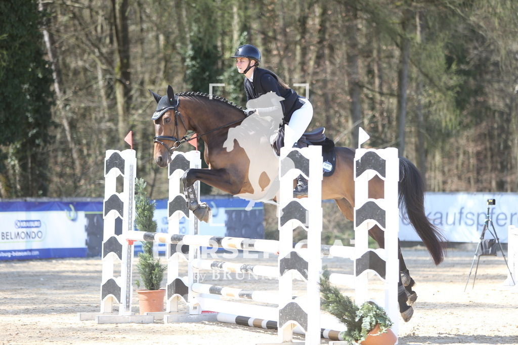 DL2Q0946 | Willkommen bei Brunnmayr - Design & Fotografie – Ihrem Spezialisten für Reitturniere und Pferdeveranstaltungen in Oberösterreich, Salzburg und Bayern! Seit über 17 Jahren sind wir leidenschaftlich dabei.