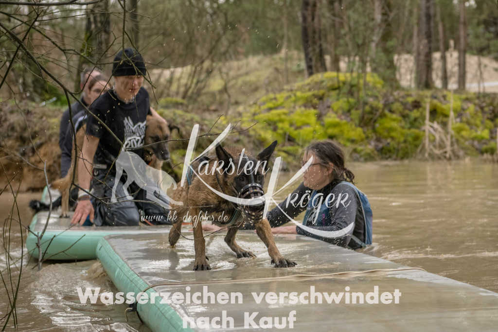 1336_ZZ90090-Bearbeitet | kk-dogfotos