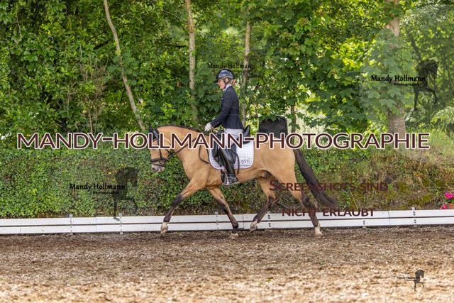 RPF 4 Filsum (458 von 535) | mandyhollmannphotographie