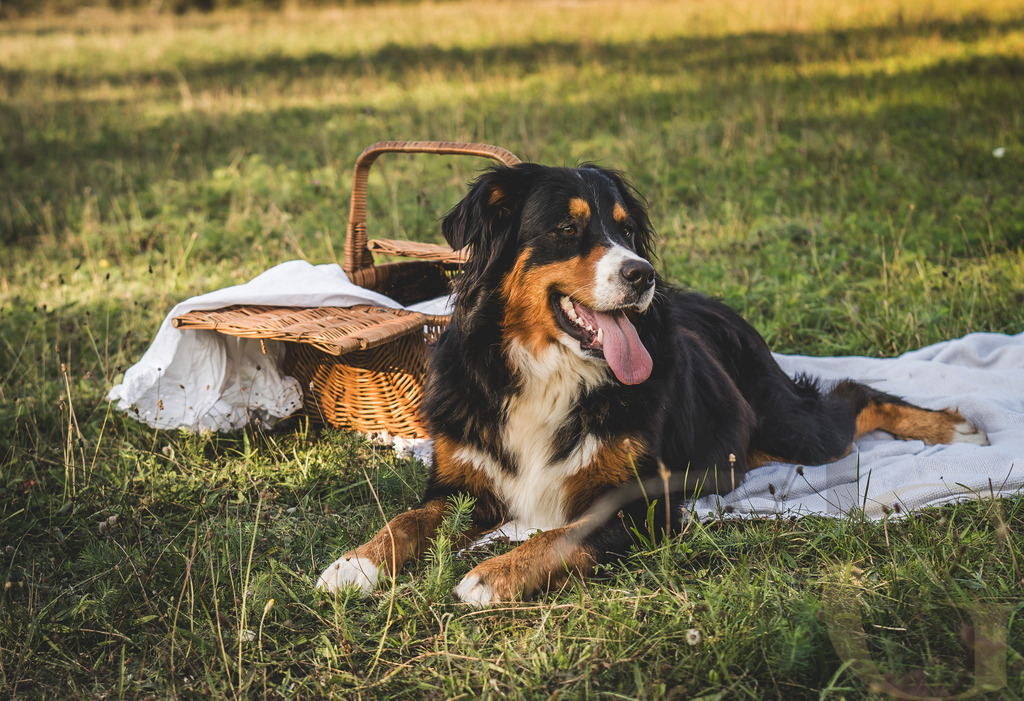 MGFoto-0021 | Newborn - Realisiert mit Pictrs.com