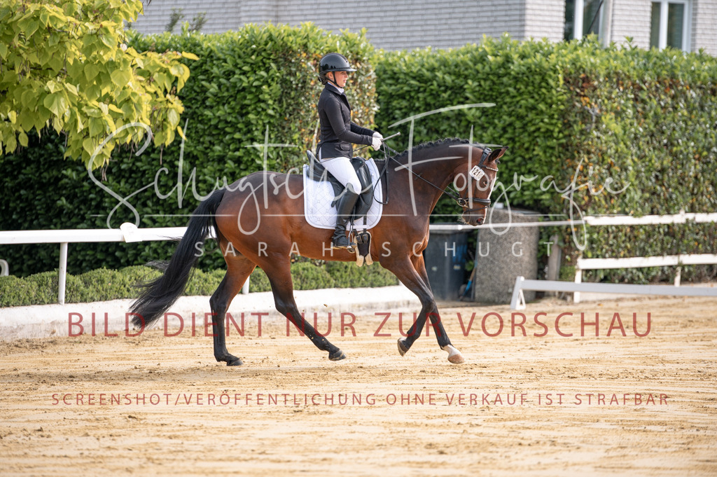 Schugtsche-Aluta25-40.DressurprfA_-58 | Schugtsche Fotografie - Realisiert mit Pictrs.com