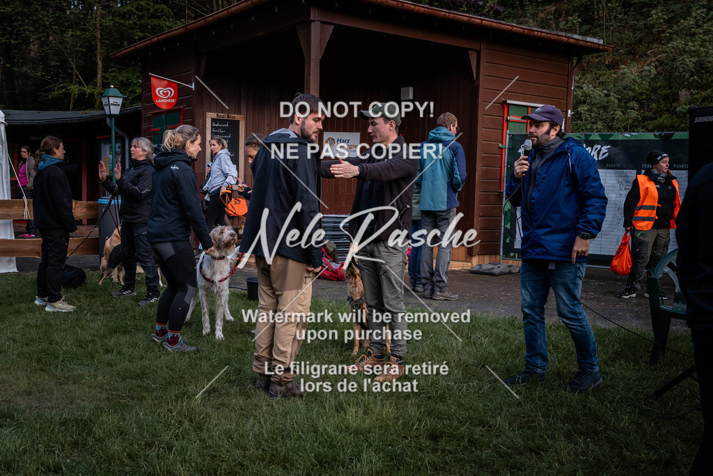 nelerasche_SaAbends_657 | nelerasche