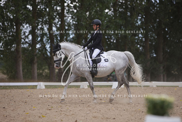 1J2A0985Charlotte Fehr_ Ikon 16_ Kn061_ Wöpkendorf_ Annalena Beier_ Quinn M_ Kn095 | Foto- und Videografie für alles rund ums Pferd. Hochwertige Bilder und Videos vom Spring- und Dressurreiten, Voltigieren & mehr. Jetzt aktuelle Veranstaltungen und Preise im Shop ansehen. - Realisiert mit Pictrs.com