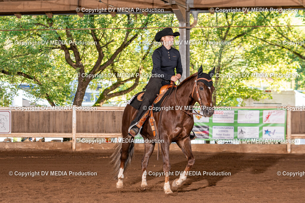 Erbach Tag 2-93 | dv-media-shop - Realisiert mit Pictrs.com