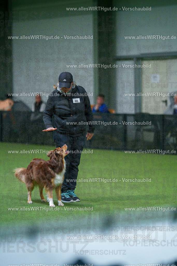 7R502870 | Professionelle Tierfotografie in Mönchengladbach von Daniel Wirth (allesWIRTHgut). Liebevolle & natürliche Bilder von Hunden & Katzen für unvergessliche Erinnerungen.